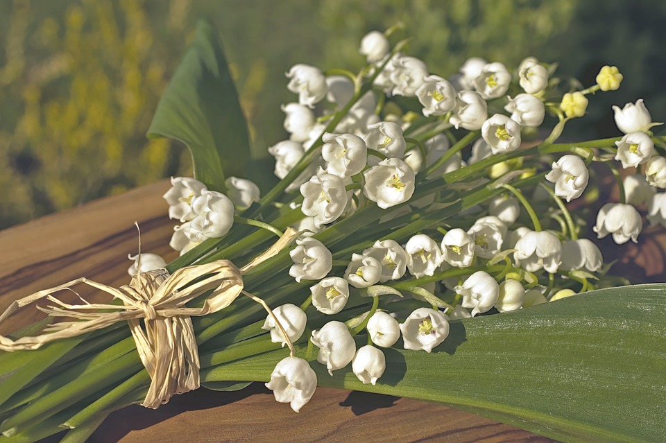 Les 1er & 8 mai, ouverts le soir sur réservation !!